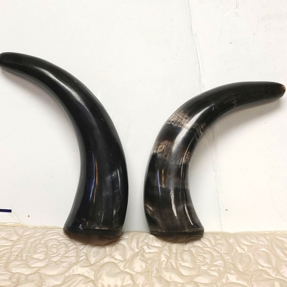 2 Polished Water Buffalo Horns 10"